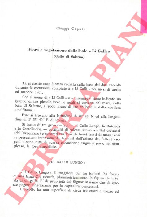 CAPUTO Giuseppe - - Flora e vegetazione delle Isole 'Li Galli' (Golfo di Salerno).
