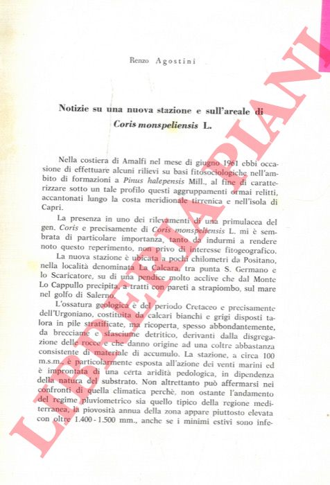 AGOSTINI Renzo - - Notizie su una nuova stazione e sull'areale di Coris monspeliensis L.