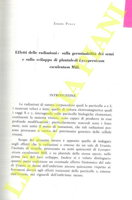 PESCE Ernesto - - Effetti delle radiazioni   sulla germinabilit dei semi e sullo sviluppo di plantule di Lycopersicum esculentum Mill.