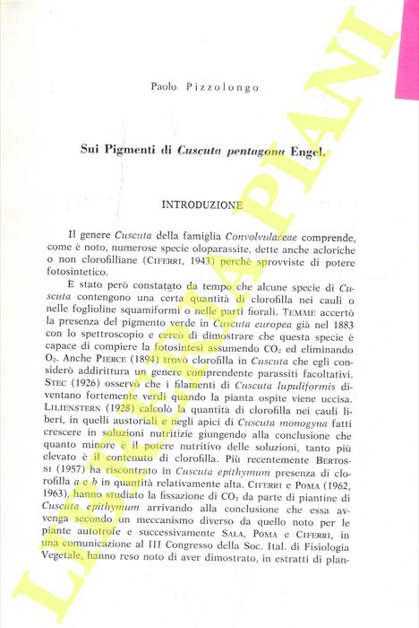PIZZOLONGO Paolo - - Sui pigmenti di Cuscuta pentagona Engel.