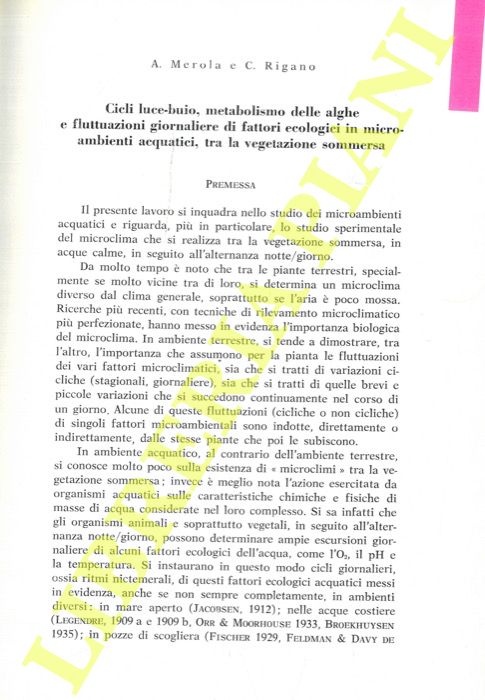 MEROLA A. - RIGANO C. - - Cicli luce-buio, metabolismo delle alghe e fluttuazioni giornaliere di fattori ecologici in microambienti acquatici, tra la vegetazione sommersa.