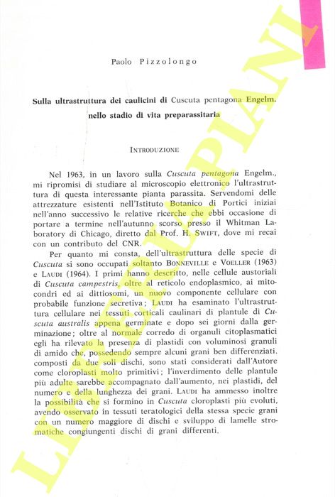 PIZZOLONGO Paolo - - Sulla ultrastruttura dei caulicini di Cuscuta pentagona Engelm. nello stadio di vita preparassitaria.