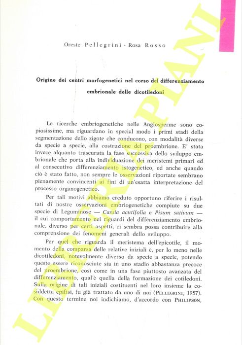PELLEGRINI Oreste - ROSSO Rosa - - Origine dei centri morfogenetici nel corso del differenziamento embrionale delle dicotiledoni.