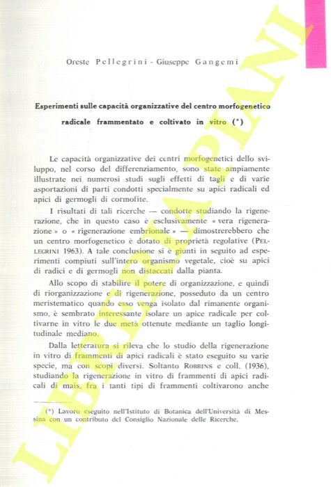 PELLEGRINI Oreste - GANGEMI Giuseppe - - Esperimento sulle capacit organizzative del centro morfogenetico radicale frammentato e coltivato in vitro.