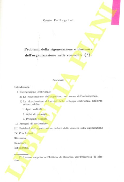 PELLEGRINI Oreste - - Problemi della rigenerazione e dinamica dell'organizzazione nelle cormofite.