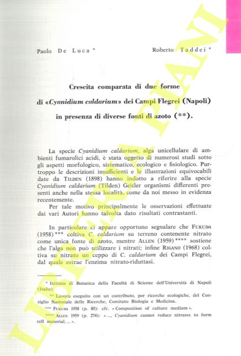 DE LUCA Paolo - MUSACCHIO Aldo - TADDEI Roberto -MORETTI Aldo - PINTO Gabriele - - Cyanidium caldarium. I. Crescita comparata di due forme di 'Cyanidium caldarium' dei Campi Flegrei (Napoli) in presenza di diverse fonti di azoto. II. Diverso comportamento in eterotrofia delle due forme di 'Cyanidium caldarium' dei Campi Flegrei (Napoli). III. Osservazioni sui pigmenti delle due forme di Cyanidium caldarium dei Campi Flegrei (Napoli). IV. Il primo reperto di 'Cyanidium caldarium' (Acquasanta, Italia, 1839) e due distinte 'forme' di quest'alga. V. Nuove stazioni di Cyanidium caldarium nell'Italia meridionale ed in Sicilia. VI. Nuove stazioni italiane di 'Cyanidium caldarium'. VII. Influenza del pH sulle dimensioni cellulari di Cyanidium caldarium forma B.