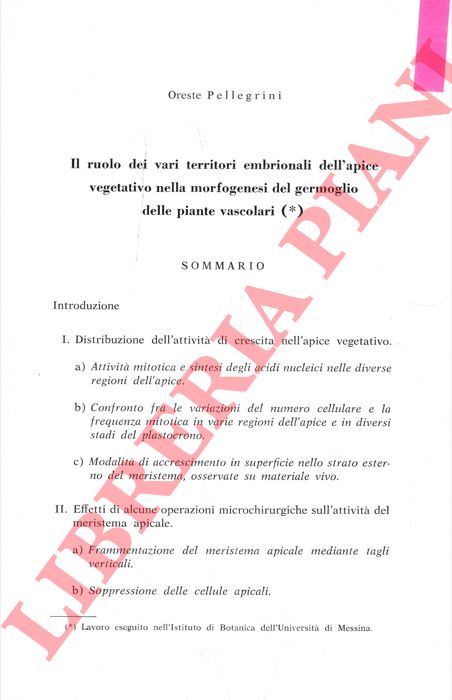 PELLEGRINI Oreste - - Il ruolo dei vari territori embrionali dell'apice vegetativo nella morfogenesi del germoglio delle piante vascolari.