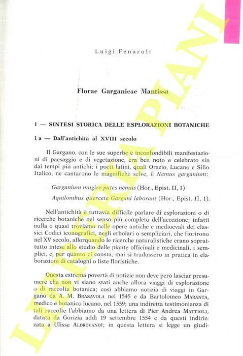FENAROLI Luigi - - Florae Garganicae Mantissa.