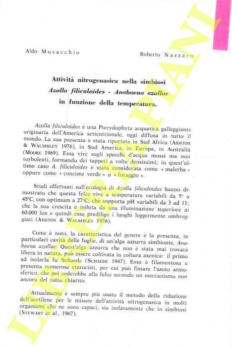 MUSACCHIO Aldo - NAZZARO Roberto - - Attivit nitrogenasica nella simbiosi Azolla filiculoides - Anabaena azollae in funzione della temperatura.