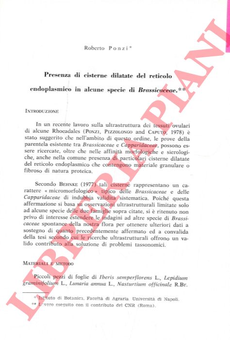 PONZI Roberto - - Presenza di cisterne dilatate del reticolo endoplasmico in alcune specie di Brassicaceae.