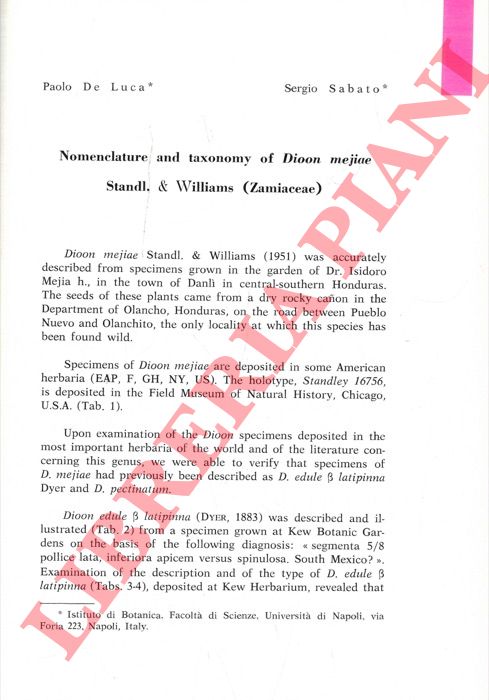DE LUCA Paolo - SABATO S. - - Nomenclature and taxonomy of Dioon mejiae Standl. & Williams (Zamiaceae).