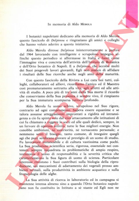 CAPUTO Giuseppe - HONSELL Edmondo - - In memoria di Aldo Merola. Aldo Merola. Discorso commemorativo tenuto il giorno 8 luglio 1981 presso l'Istituto Botanico dell'Universit di Napoli.