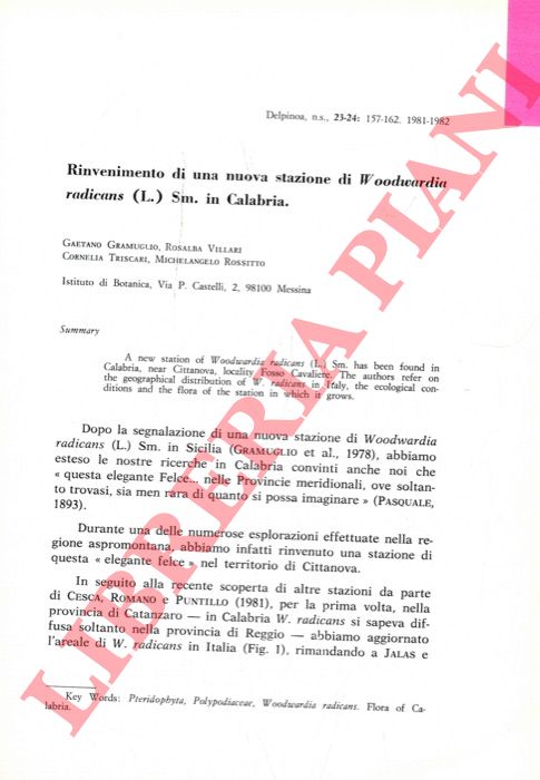 GRAMUGLIO Gaetano - VILLARI Rosalba - TRISCARI Cornelia - ROSSITTO Michelangelo - - Rinvenimento di una nuova stazione di Woodwardia radicans (L.) Sm. in Calabria.