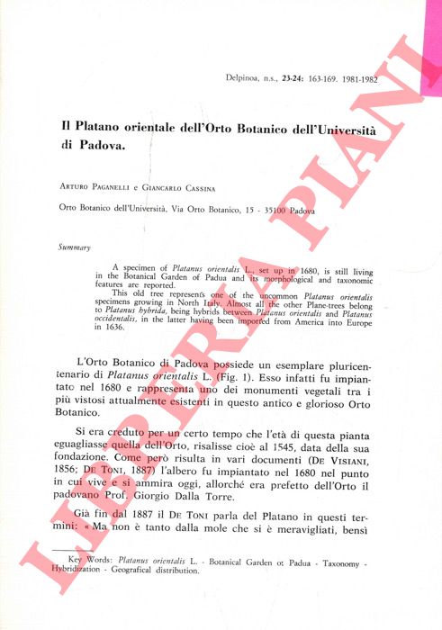PAGANELLI Arturo - CASSINA Giancarlo - - Il Platano orientale dell'Orto Botanico dell'Universit di Padova.