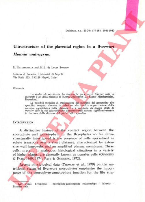 GAMBARDELLA R. - DE LUCIA SPOSITO M.L. - - Ultrastructure of the placental region in a liverwort Mannia androgyna.