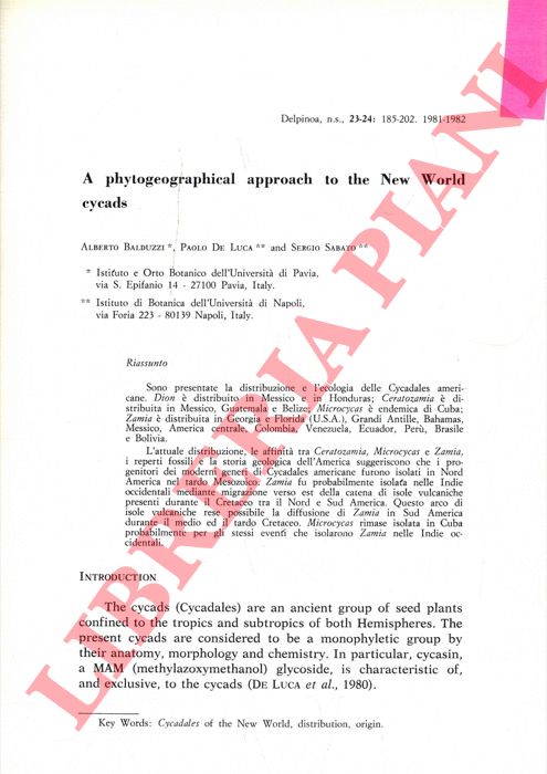 BALDUZZI Alberto - DE LUCA Paolo - SABATO Sergio - - A phytogeographical approach to the New World cycads.