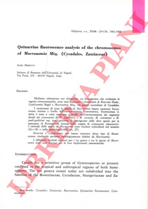 MORETTI Aldo - - Quinacrine fluorescence analysis of the chromosomes of Macrozamia Miq. (Cycadales, Zamiaceae).