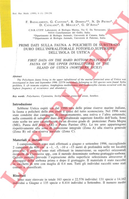 BADALAMENTI E, CANTONE G., DOMINA R., Dl PIETRO N., CATALANO D., MOLLICA E., D'ANNA G. - - Primi dati sulla fauna a policheti di substrato duro dell'infralitorale fotofilo superiore dell'isola di Ustica.