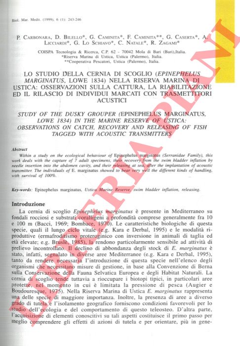 CARBONARA P., BLELLO D, CAMINITA G., CAMINITA CASERTA G., LICCIARDI A., LO SCHAVO G., NATALE C., ZAGAMI R. - - Lo studio della cernia di scoglio (Epinephelus marginatus, Lowe 1834) nella Riserva Marina di Ustica: osservazioni sulla cattura, la riabilitazione ed il rilascio di individui marcati con frasmettitori acustici