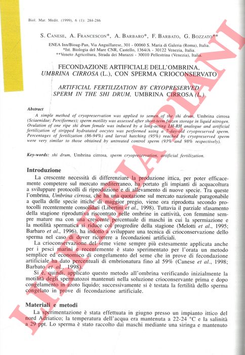 CANESE S., FRANCESCON A., BARBARO A., BARBATO F., BOZZATO G. - - Fecondazione artificiale dell'ombrina, Umbrina cirrosa (L.), con sperma crioconservato.
