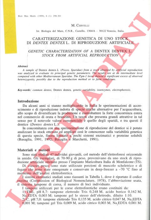 CERVELLI M. - - Caratterizzazione genetica di uno stock di Dentex dentex L. di riproduzione artificiale