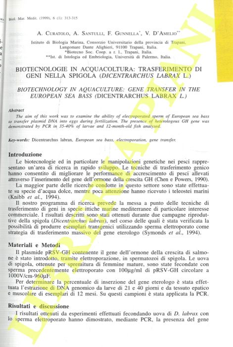 CURATOLO A., SANTULLI A., GUNNELLA E, D'AMELIO V. - - Biotecnologie in acquacoltura: trasferimento di geni nella spigola (Dicentrarchus labrax L.).