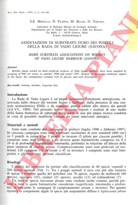 MERELLO S. E, FILIPPIN D, RELINI M., TORCHIA G. - - Associazioni di substrato duro dei pontili della rada di Vado Ligure (Savona).