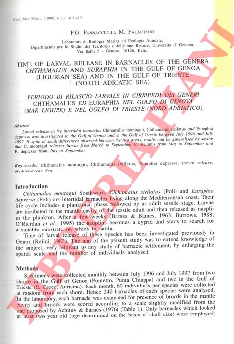 PANNACCIULLI F. G., FALAUTANO M. - RELINI G. - - Time of larval release in barnacles of the genera Chthamalus ed Euraphia in the Gulf of Genoa (Ligurian Sea) and in the Gulf of Trieste (North Adriatic Sea). Time of settiement in barnacles of the genus Chthamalus in the Gulf of Genoa (Ligurian Sea) and in the Gulf of Trieste (North Adriatic Sea).