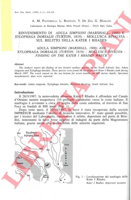 PASTORELLI A.M., ROSITANI L, DE ZIO V., MARANO G. - - Rinvenimento di Adula simpsoni (Marshall, 1900) e Xylophaga dorsalis (Turton, 1819) - Mollusca Bivalvia - sul relitto della Kater I Rhades.