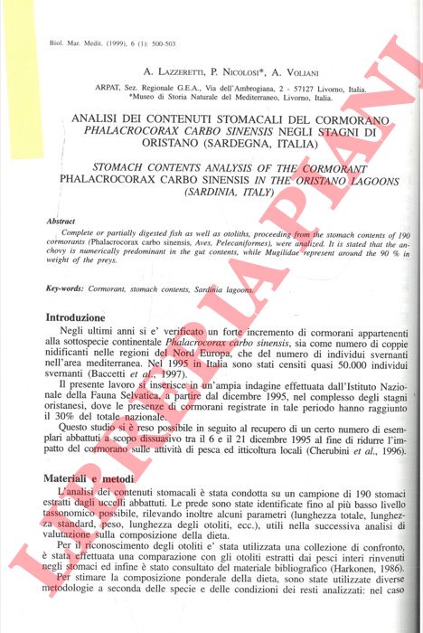 LAZZERETTI A., NICOLOSI P., VOLIAM A. - - Analisi dei contenuti stomacali del cormorano Phalacrocorax carbo sinensis negli stagni di Oristano (Sardegna, Italia).