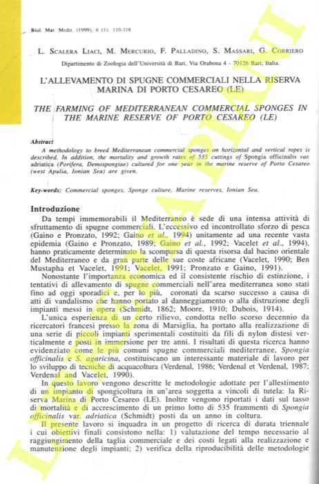 SCALERA LIACI L, MERCURIO M., PALLADINO F., MASSARI S., CORRIERO G. - - L'allevamento di spugne commerciali nella Riserva Marina di Porto Cesareo (LE).