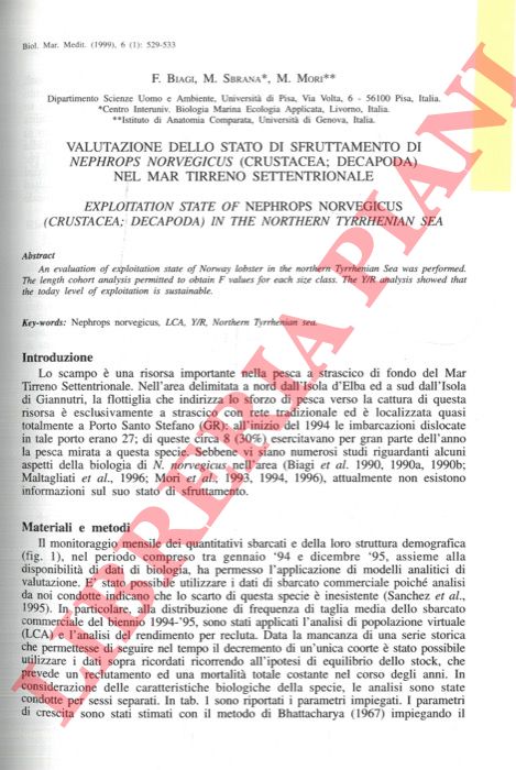 BIAGI E, SBRANA M., MORI M. - - Valutazione dello stato di sfruttamento di Nephrops norvegicus (Crustacea; Decapoda) nel Mar Tirreno settentrionale.
