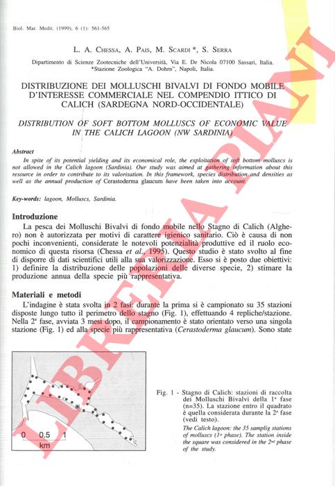 CHESSA L. A., PAIS A., SCARDI M., SERRA S. - - Distribuzione dei molluschi bivalvi di fondo mobile d'interesse commerciale nel compendio ittico di Calich (Sardegna nord-occidentale).