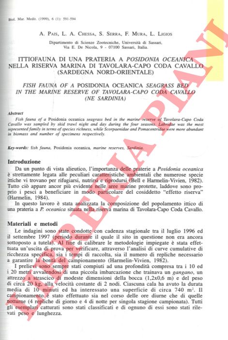 PAIS A, CHESSA L.A., SERRA S., MURA E, LIGIOS L. - - Ittiofauna di una prateria di Posidonia oceanica nella Riserva Marina di Tavolara-Capo Coda Cavallo (Sardegna nord-orientale).