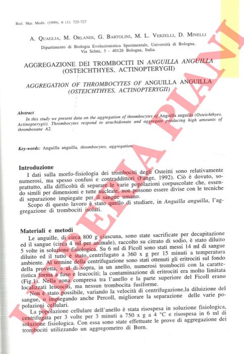 QUAGLIA A., ORLANDI M., BARTOLINI G., VERZELLI M.L., MINELLI D. - - Aggregazione dei trombociti in Anguilla anguilla (Osteichthyes, Actinopterygii).