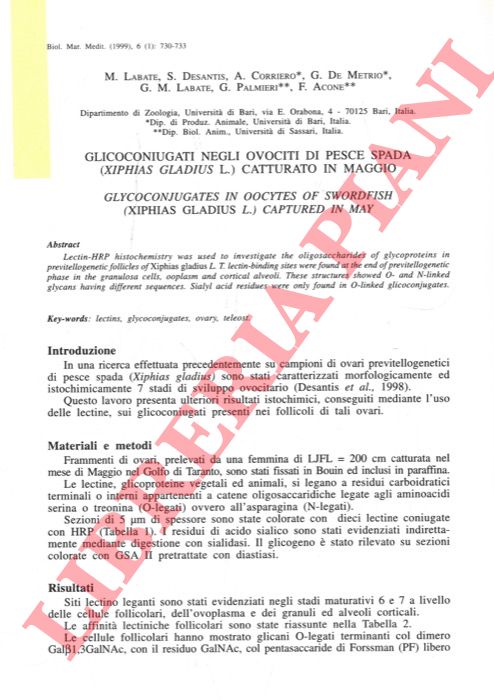 LABATE M., DESANTIS S., CORRIERO A., DE METRIO G., LABATE G.M., PALMIERI G., ACONE F. - - Glicoconiugati negli ovociti di pesce spada (Xiphias glaudius L.) catturato in maggio.