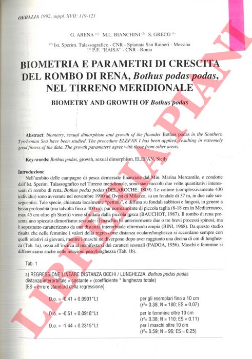 ARENA G., BIANCHINI M.L., GRECO S. - - Biometria e parametri di crescita del rombo di rena , Bothus podas podas, nel Tirreno meridionale.