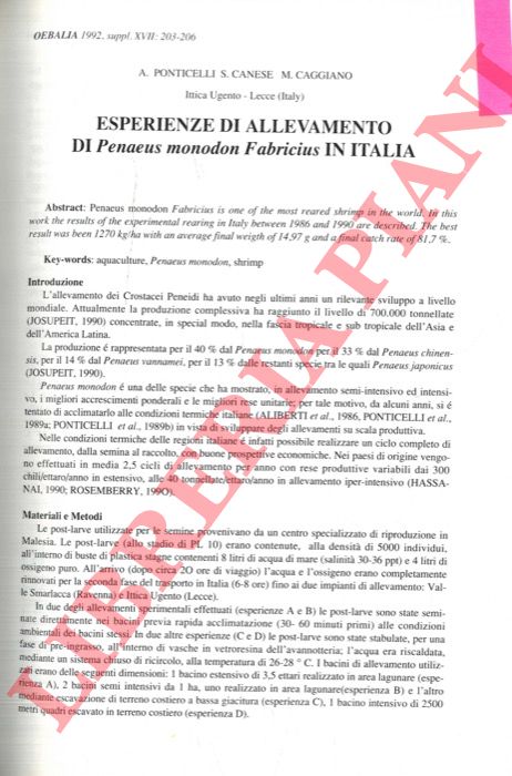 PONTICELLI A. - CANESE S. - CAGGIANO M. - - Esperienze di allevamento d