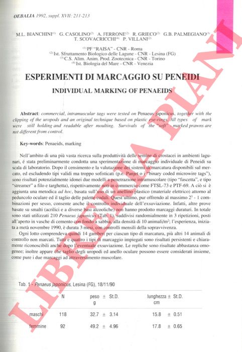 BIANCHINI M.L., CASOLINO G., FERRONE A., GRIECO R., PALMEGIANO G.B., SCOVACRICCHI T., VILLANI P. - - Esperimenti di marcaggio su peneidi.