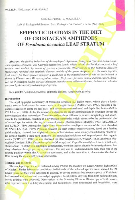 SCIPIONE M.B. - MAZZELLA L. - - Epiphytic diatoms in the diet of Crustacean amphipods of Posidonia oceanica leaf stratum.