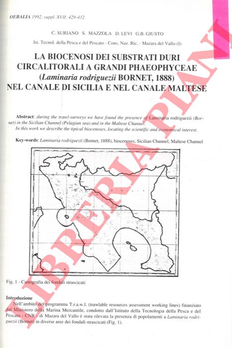 SURIANO C., MAZZOLA S., LEVI D., GIUSTO G.B. - - La biocenosi dei substrati duri circalitorali a grandi Phaeophyceae (Laminaria rodriguezii Bornet, 1888) nel Canale di Sicilia e nel Canale Maltese.