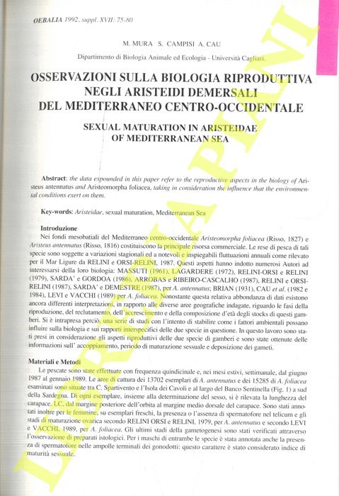 MURA M. - CAMPISI S. - CAU A. - - Osservazioni sulla biologia riproduttiva negli aristeidi demersali del Mediterraneo centro-occidentale.