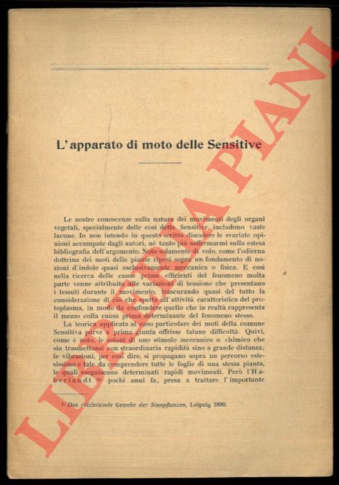 BONZI A. - - L'apparato di moto delle Sensitive.