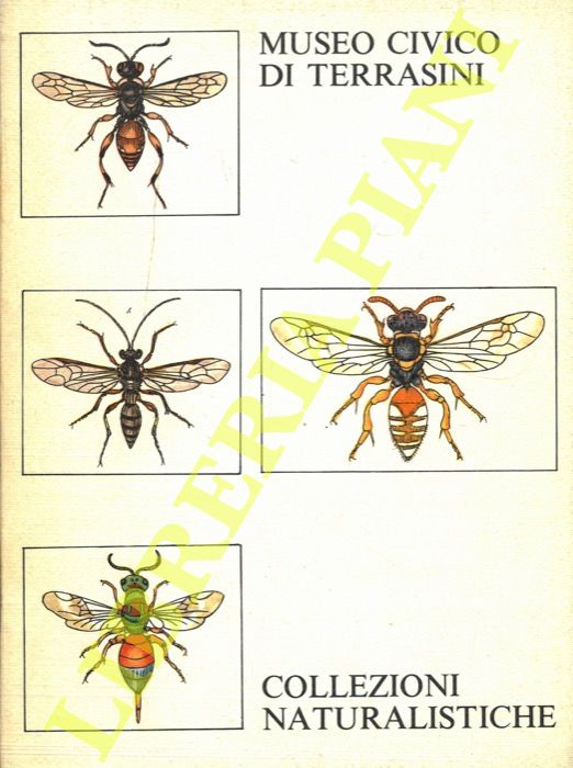 - - Museo Civico di Terrasini. Collezioni naturalistiche.
