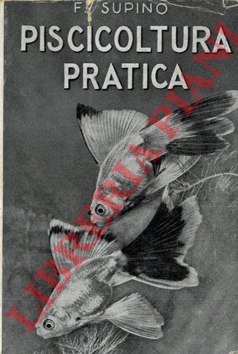 SUPINO Felice - - Piscicoltura pratica. Seconda edizione interamente rifatta.