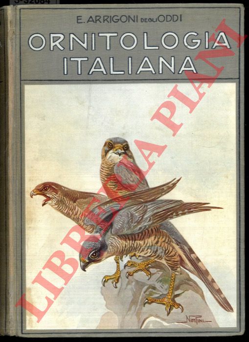 ARRIGONI DEGLI ODDI Ettore - - Ornitologia Italiana.