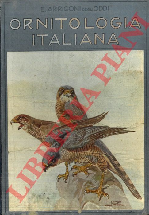 ARRIGONI DEGLI ODDI Ettore - - Ornitologia Italiana.
