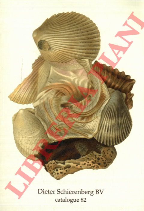 Deter Schierenberg. Amsterdam - - Natural history, etc. (Malacology)