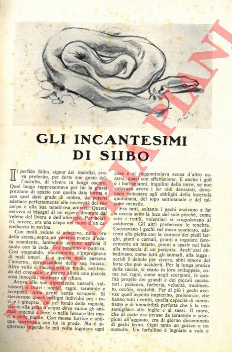SANMINIATELLI Bino - - Gli incantesimi di Siibo.