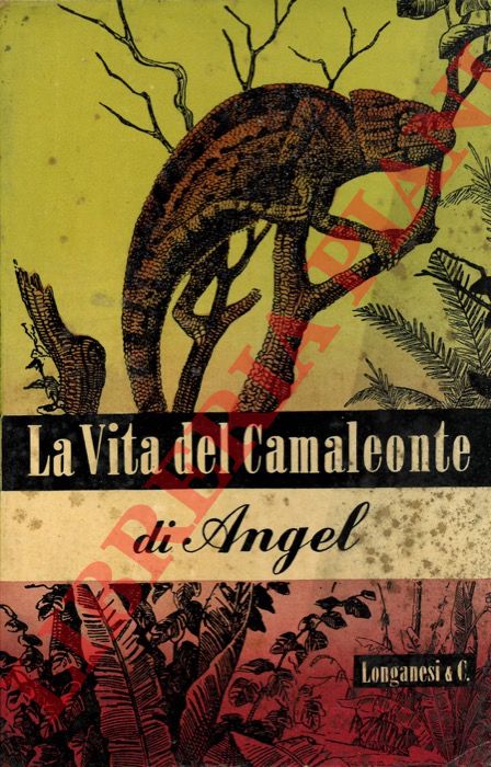 ANGEL F(ernand) - - La vita del camaleonte e di altre lucertole.